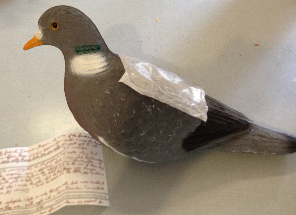 Adventures of the Postal Pigeon – One Cobble at a Time